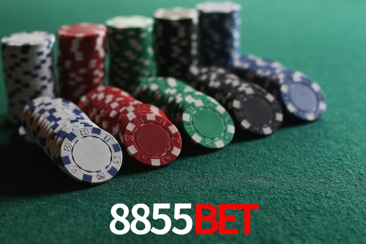 Experiência VIP 8855BET